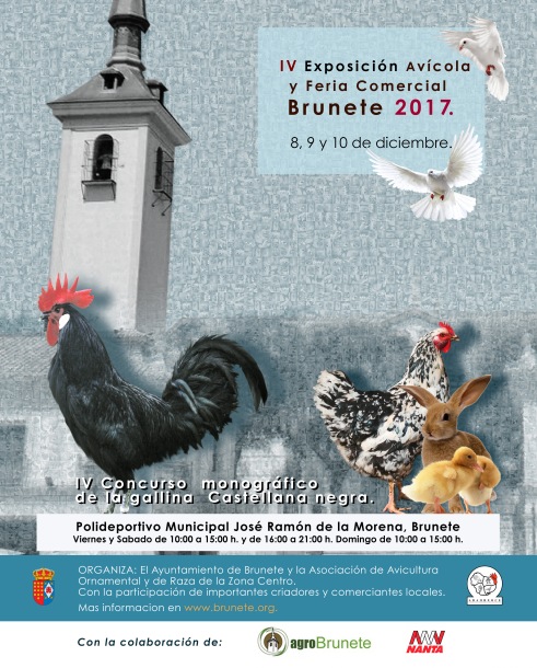 cartel 70x100 expo brunete 2017 05